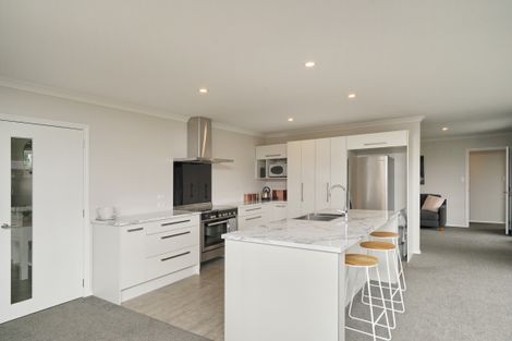 Photo of property in 87 Bayliss Drive, Kaiapoi, 7630