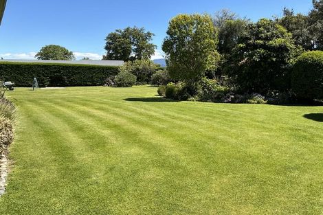 Photo of property in 11 Alma Street, Renwick, 7204