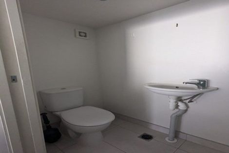 Photo of property in 9 Mary Street, Mount Eden, Auckland, 1024