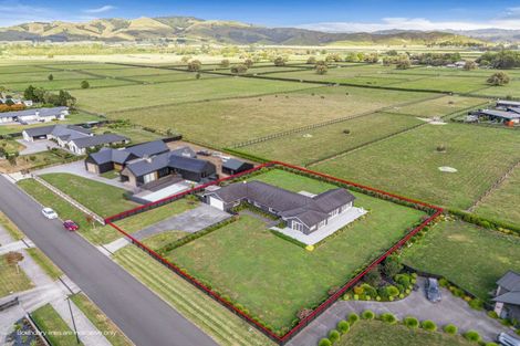 Photo of property in 14 Seachange Drive, Leamington, Cambridge, 3432