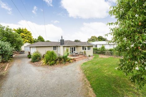 Photo of property in 1324 Napier Road, Ashhurst, 4810