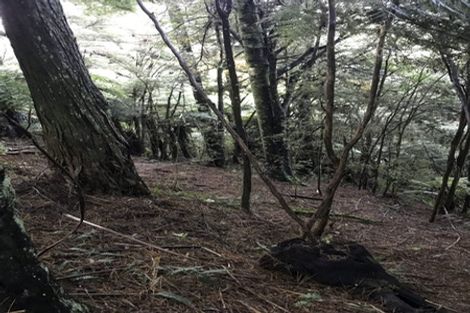 Photo of property in 7743b State Highway 2, Karangahake, Paeroa, 3674