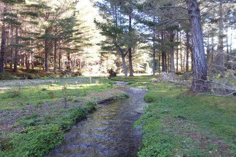 Photo of property in 1677 Takaputahi Road, Toatoa, Opotiki, 3197