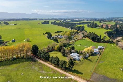 Photo of property in 201 Totaramahonga Road, Dannevirke, 4972