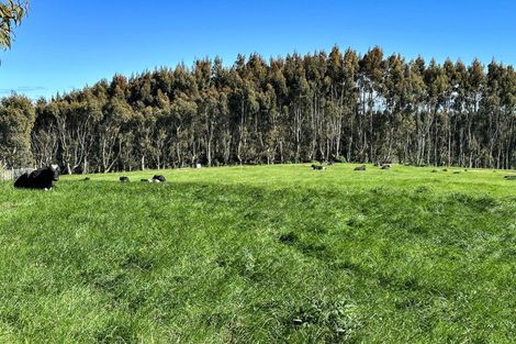 Photo of property in 30 Frazer Road, Tuturau, Mataura, 9774