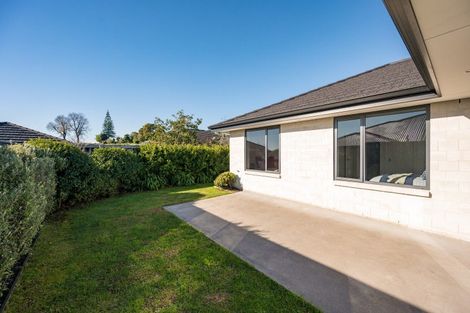 Photo of property in 7 Julius Place, Richmond, 7020