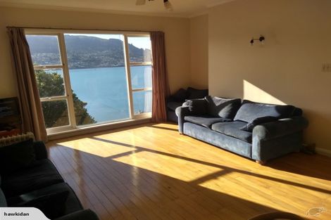 Photo of property in 273 Portobello Road, The Cove, Dunedin, 9077