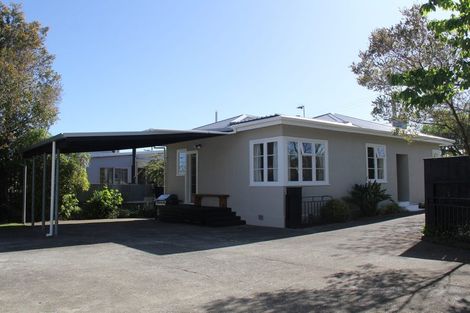 Photo of property in 46 Totara Street, Lansdowne, Masterton, 5810
