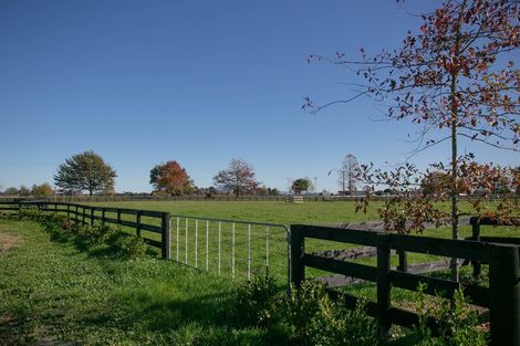 Photo of property in 1659 Cambridge Road, Cambridge, Hamilton, 3283