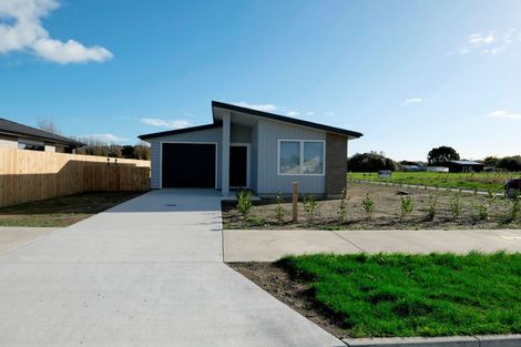 Photo of property in 10 Hapeta Street, Otaki, 5512