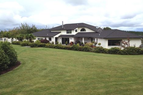 Photo of property in 558 Palmer Mill Road, Wairakei, Taupo, 3384