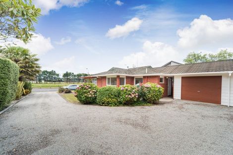 Photo of property in 45 Dittmer Drive, Awapuni, Palmerston North, 4412