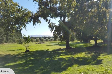 Photo of property in 123 Racecourse Road, Amberley, 7482