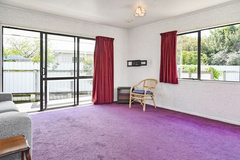 Photo of property in 715a Maitland Crescent, Mayfair, Hastings, 4122