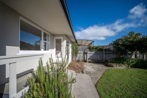 Photo of property in 1/77a Halifax Street East, The Wood, Nelson, 7010