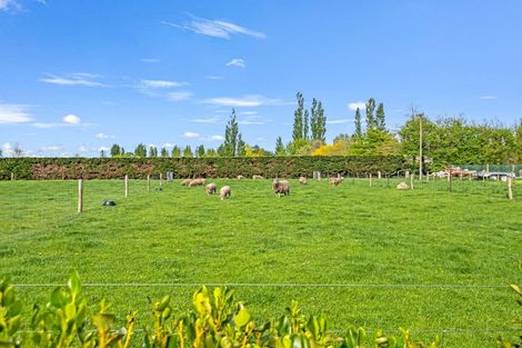 Photo of property in 292 Seafield Road, Elgin, Ashburton, 7772