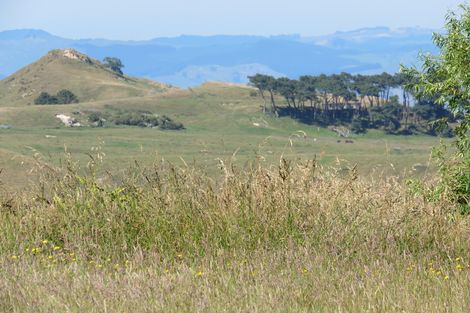 Photo of property in 145 Wheatstone Road, Wainui, Gisborne, 4073