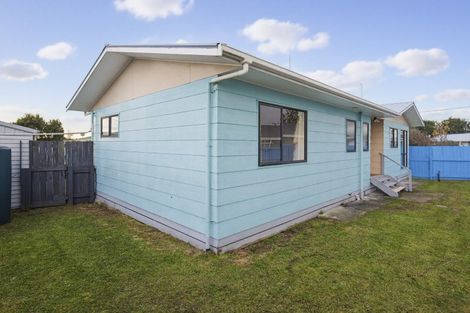 Photo of property in 23 Douglas Street, Levin, 5510