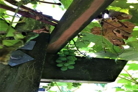 Photo of property in 2/117 Wallace Road, Papatoetoe, Auckland, 2025