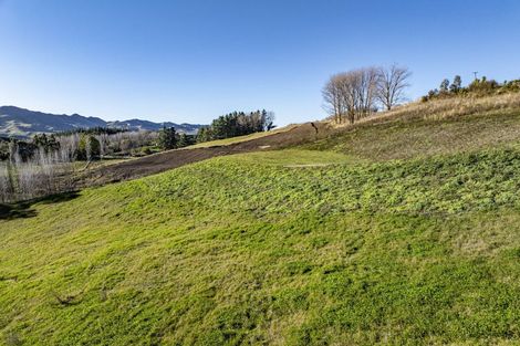 Photo of property in 1000 Kahuranaki Road, Kahuranaki, 4295