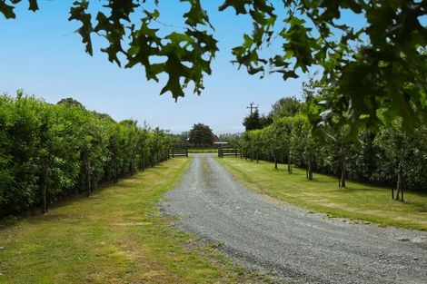 Photo of property in 213 Te Whiti Road, Homebush, Masterton, 5885