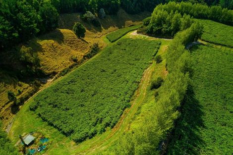 Photo of property in 866 No 2 Road, Te Ranga, Te Puke, 3182