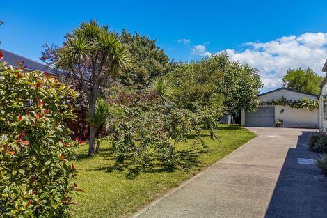 Photo of property in 45 Albert Street, Masterton, 5810
