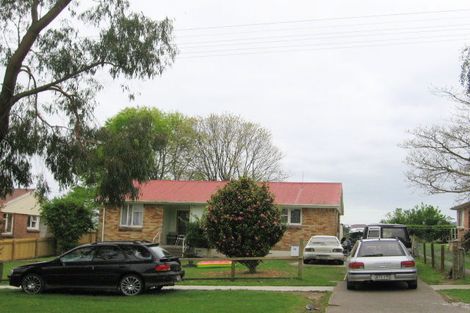 Photo of property in 14 Hamilton Street, Te Aroha, 3320