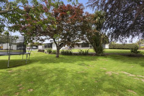 Photo of property in 1/3 Fitzherbert Street, Putaruru, 3411