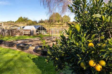 Photo of property in 144 Blind Creek Road, Tuamarina, Blenheim, 7273