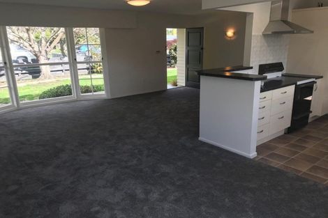 Photo of property in 58 Te Aute Road, Havelock North, 4130