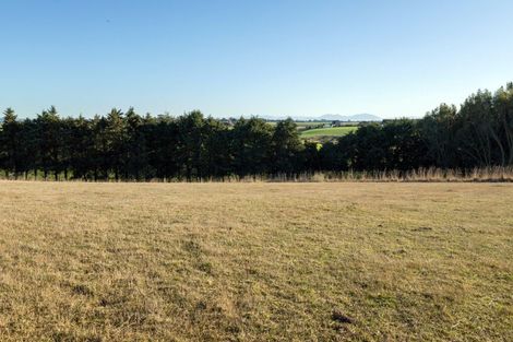 Photo of property in 38 Daniels Road, Normanby, Timaru, 7971