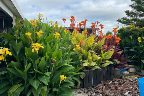 Photo of property in 2 Rutland Place, Milson, Palmerston North, 4414