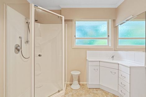 Photo of property in 76 Winchester Street, Levin, 5510