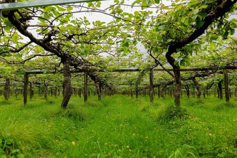 Photo of property in 837b Pyes Pa Road, Pyes Pa, Tauranga, 3173