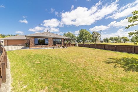 Photo of property in 16 Kauri Place, Pahiatua, 4910