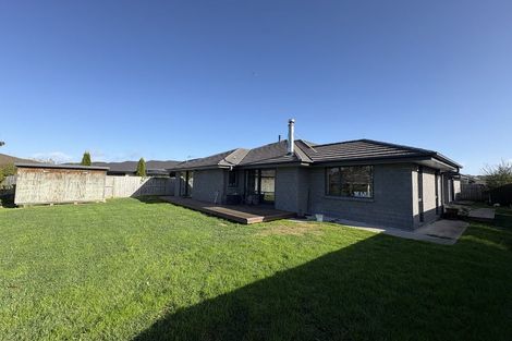 Photo of property in 3 Moiras Lane, Fitzroy, Hamilton, 3206