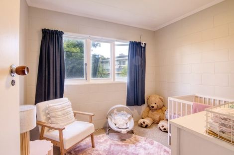 Photo of property in 493 Ruahine Street, Terrace End, Palmerston North, 4410