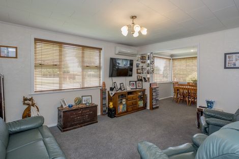 Photo of property in 78 Tiro Tiro Road, Levin, 5510