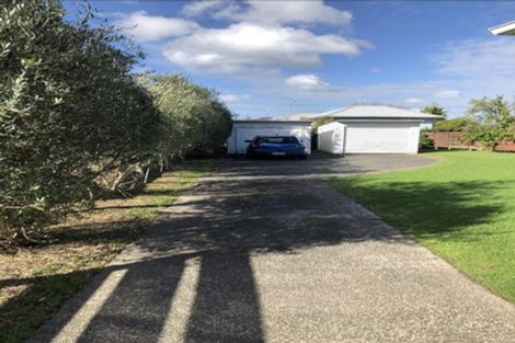 Photo of property in 26 Evelyn Place, Hillcrest, Auckland, 0627