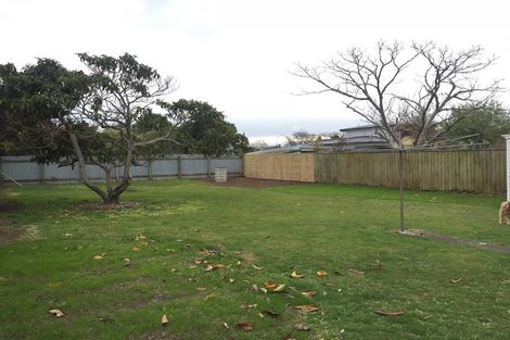 Photo of property in 30 Ihle Street, Terrace End, Palmerston North, 4410