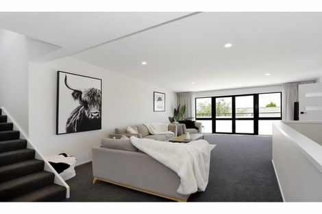 Photo of property in 16 Windleborn Place, Richmond, 7020