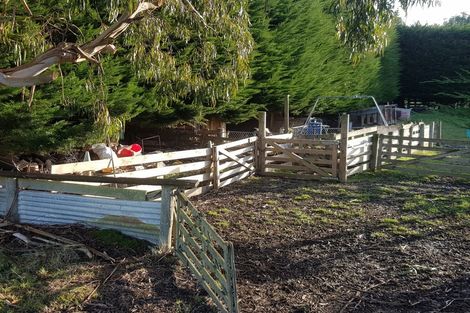 Photo of property in 457 Old Port Road, Warepa, Balclutha, 9273