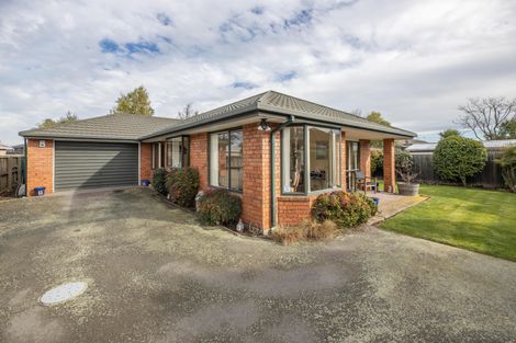 Photo of property in 44a Donegal Street, Belfast, Christchurch, 8051