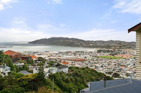 Photo of property in 59 Hornsey Road, Melrose, Wellington, 6023