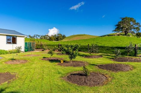 Photo of property in 264 Bee Bush Road, Arapohue, Dargaville, 0374