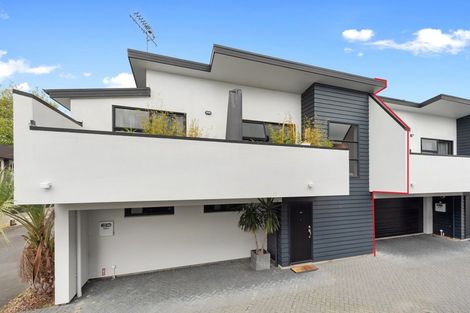 Photo of property in 56a Willoughby Street, Whitiora, Hamilton, 3200