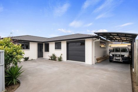 Photo of property in 162b Winchester Street, Levin, 5510