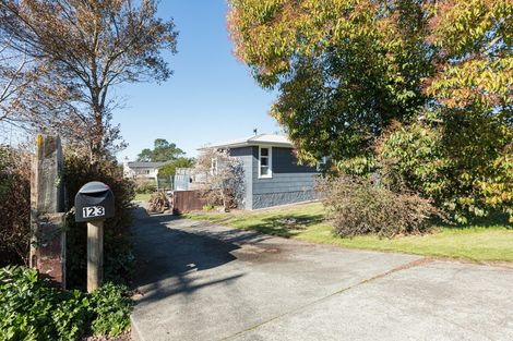 Photo of property in 123 Porangahau Road, Waipukurau, 4200