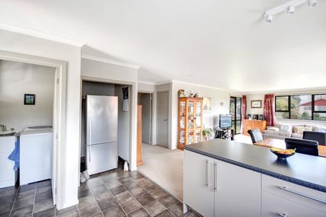 Photo of property in 13 Elderlee Street, Milton, 9220